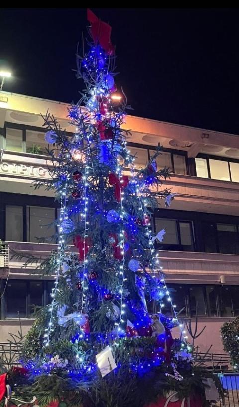 Albero di Natale 2024